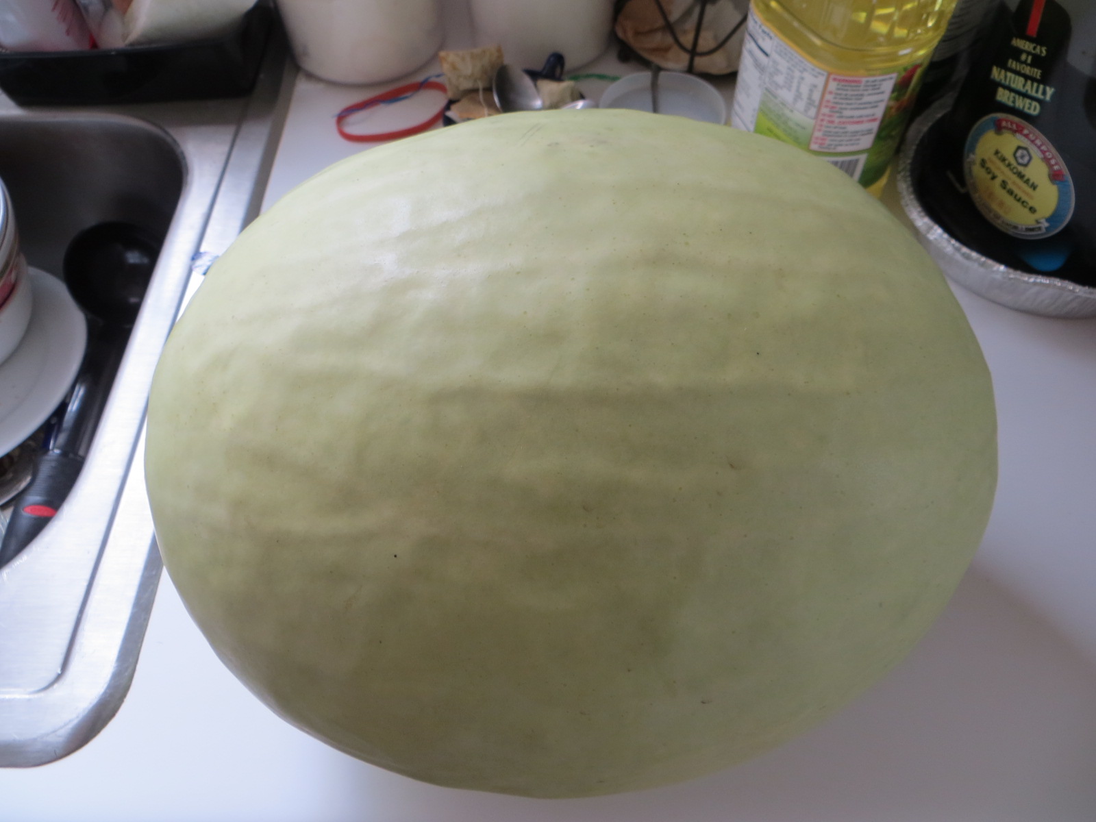 You 'N' Jo Desert King Watermelon